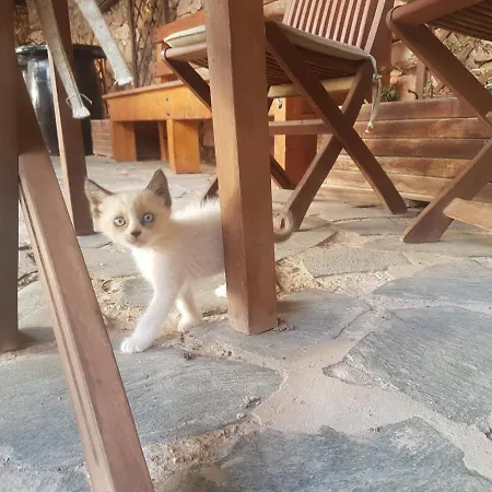 La Vista De Εξοχικό σπίτι