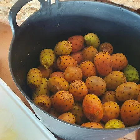 Εξοχικό σπίτι La Vista De