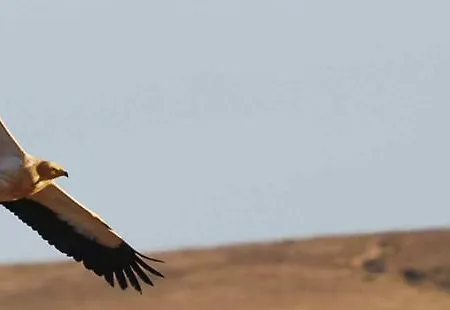 Εξοχικό σπίτι La Vista De *