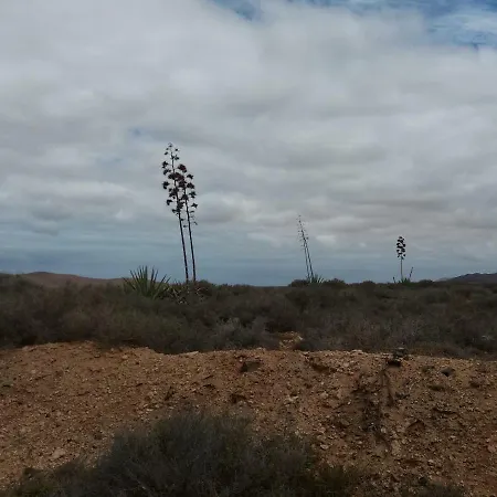 La Vista De * Tefia