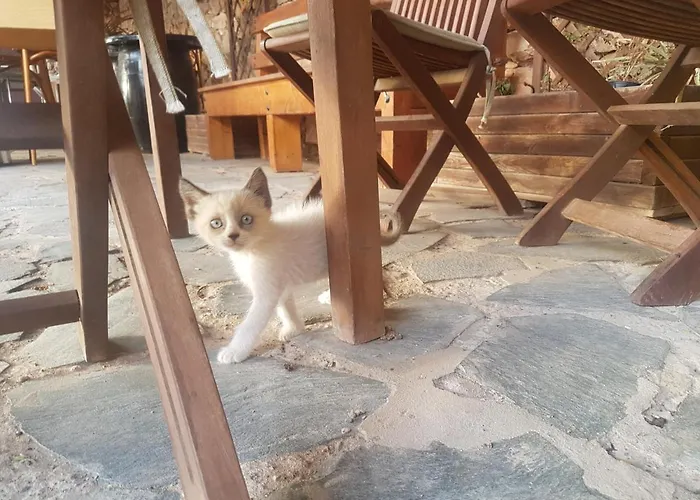 La Vista De Kır Evi