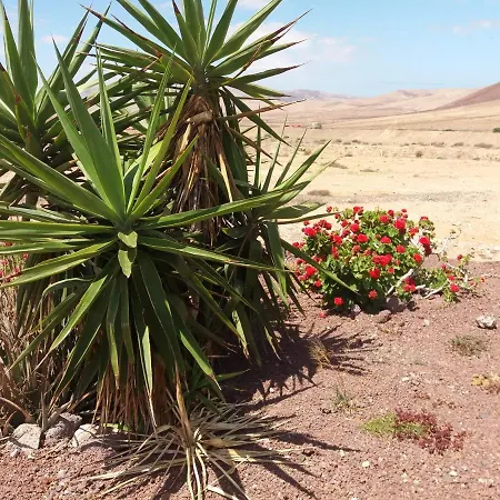 カントリーハウス La Vista De Tefía