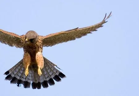 La Vista De Casa di campagna