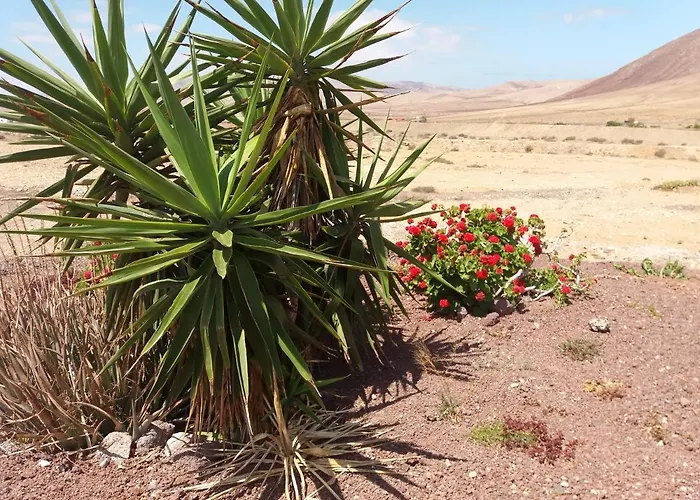 בית כפרי La Vista De Tefía