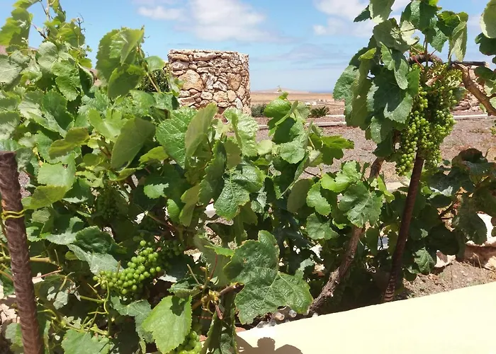 Casa de Campo La Vista De Tefía